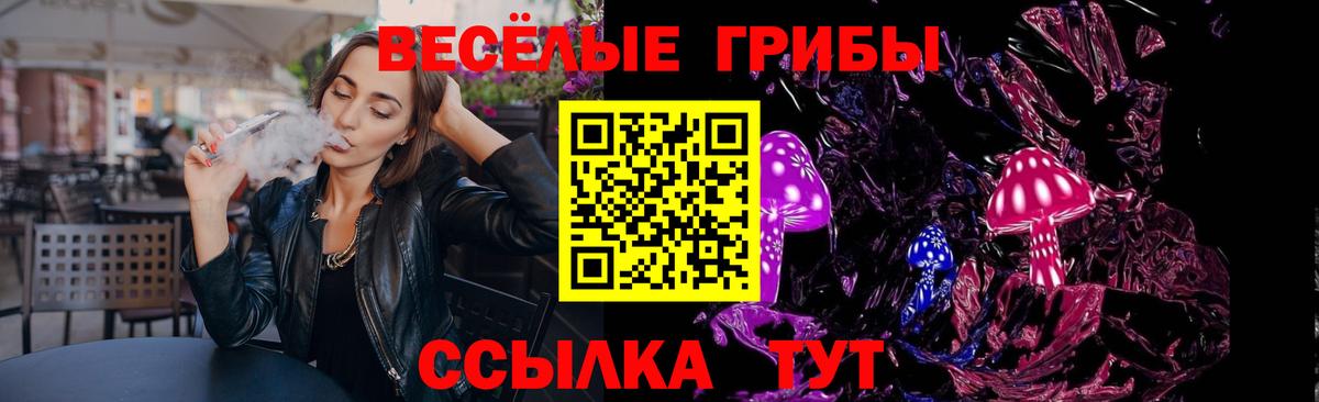 Галлюциногенные грибы Psilocybine cubensis Наро-Фоминск